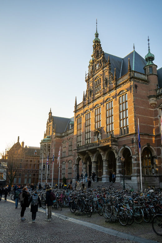 Groningen: Walking Tour with Local Guide - The Experience from the Viewpoint of Reviews