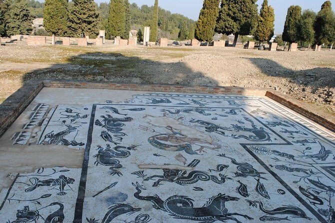 Group Excursion from Seville to Italica (Seville Roman Town) - Whats Included & Whats Not