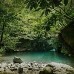 Group Hiking Tour in Mtirala National Park - The Itinerary: What You Can Expect