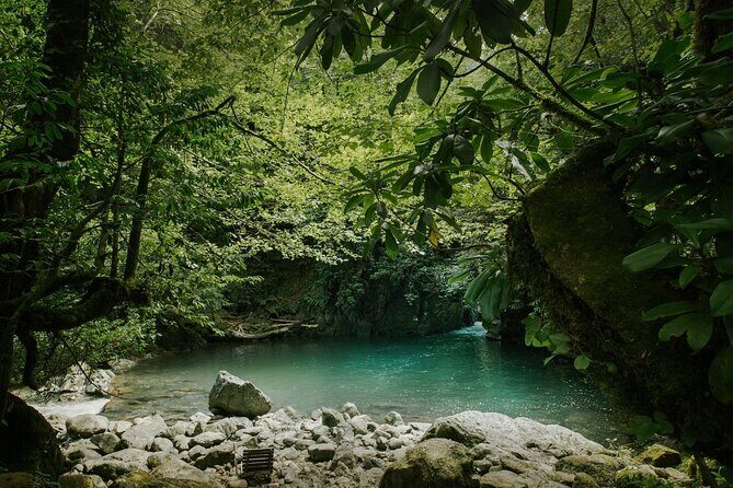 Group Hiking Tour in Mtirala National Park - The Itinerary: What You Can Expect