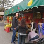 Group tour from Naples to Sorrento /Positano/Amalfi . - The Sum Up