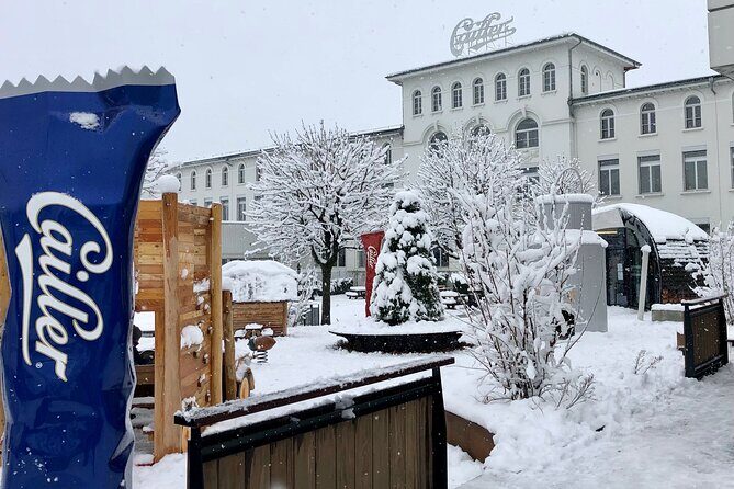 Gruyère Cheese and Chocolate Tasting Day Trip from Geneva - Analyzing the Value