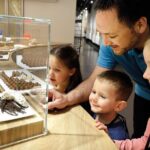 Gruyères Trip With Cheese and Chocolate Factory Visit from Geneva - Is It Worth the Price?