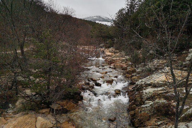 Guadarrama National Park from Madrid - Is This Tour Worth It?