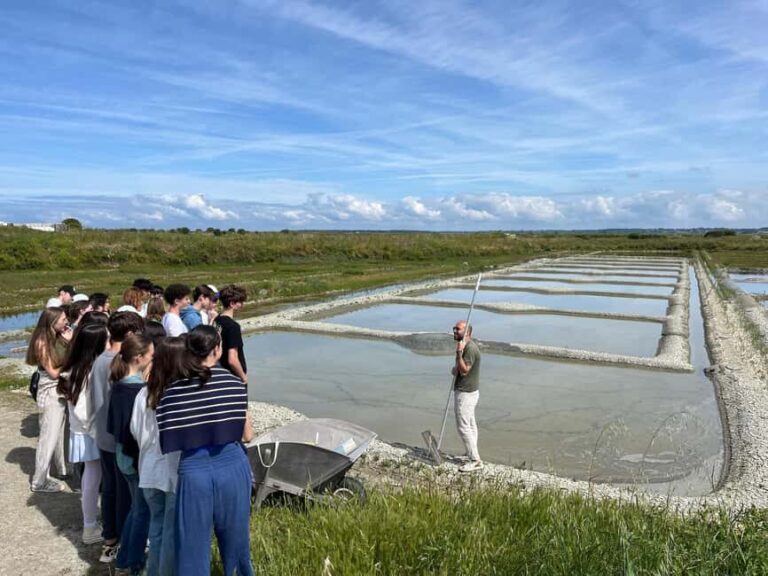 Guérande Salt Marshes tour - Value and Experience: Why It’s Worth It