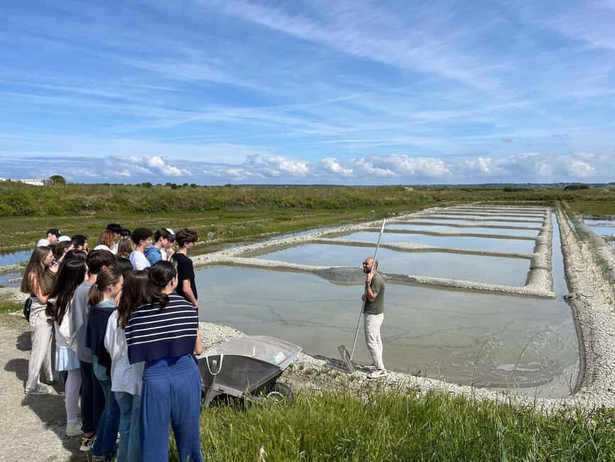 Guérande Salt Marshes tour - Value and Experience: Why It’s Worth It