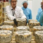 Guide Visit to the old Cheese Factory - Who Should Consider This Tour?