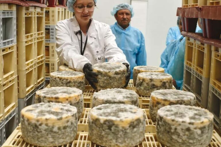 Guide Visit to the old Cheese Factory - Who Should Consider This Tour?