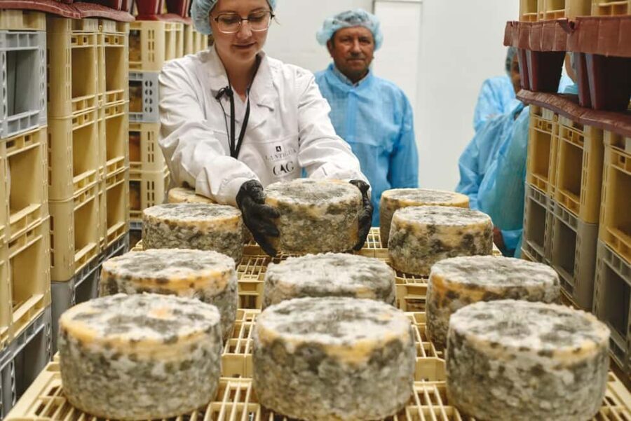 Guide Visit to the old Cheese Factory - Who Should Consider This Tour?