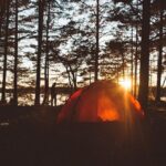 Guided 5-Day Kayak & Wildcamp the Archipelago of Sweden - Day 2: Outer Archipelago and Seabird Spectacles