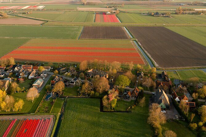 Guided Bike Tour along the Dutch Tulip Fields in Noord Holland - Final Thoughts