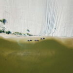 Guided Canoe Tour of the Curonian Spit Lithuania - The Journey Begins: Transport and First Impressions