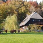 Guided cider tasting - Authenticity and Personal Touches