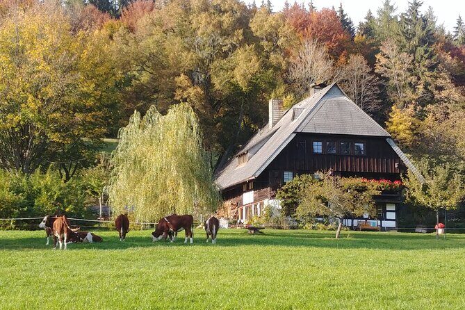 Guided cider tasting - Authenticity and Personal Touches