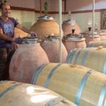 Guided Cycle Tourism Wine Tour by E-Bike on the Island of Elba "Arrighi" - Authentic Experiences and What Travelers Say