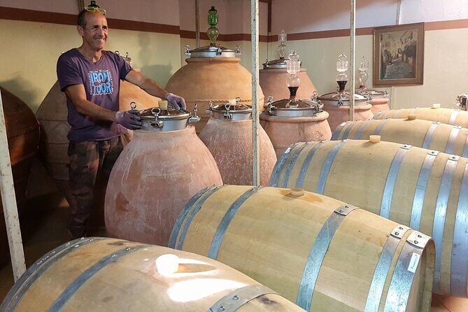 Guided Cycle Tourism Wine Tour by E-Bike on the Island of Elba "Arrighi" - Authentic Experiences and What Travelers Say