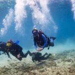Guided dive for certified divers - What to Expect from This Guided Dive in Brindisi