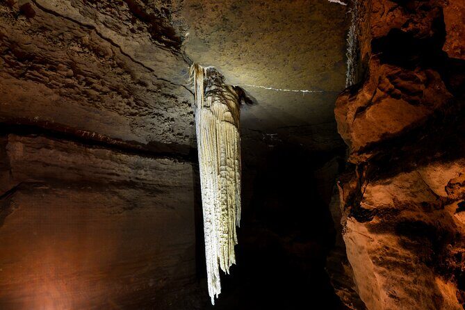 Guided Doolin Cave Tour: Experience Europe's Largest Stalactite - Who Should Consider This Tour?