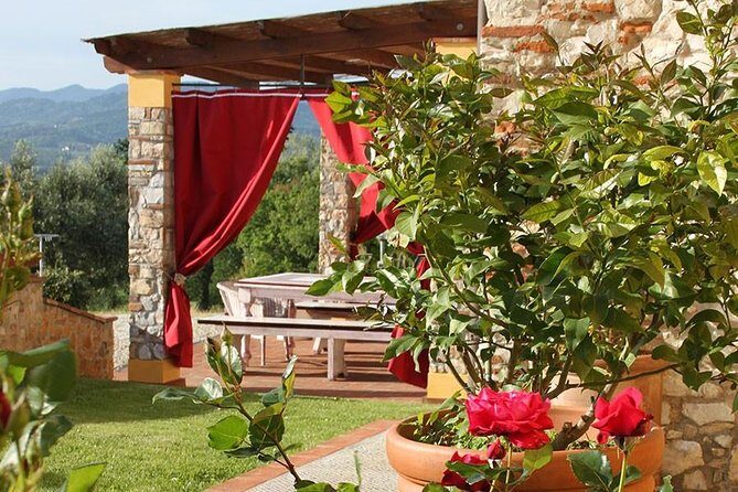 Guided E-Bike Tour with Wine Tasting from Lucca - What Sets This Tour Apart