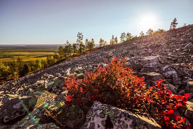 Guided easy hike in Finland deepest gorge in Pyhä-Luosto National Park - Exploring Pyhä-Luosto National Park’s Gorge