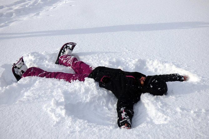 Guided easy snowshoeing with a visit to local café - Authentic Insights from Past Travelers