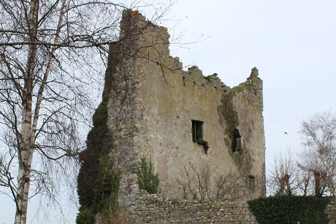 Guided eBike Tour - Killaloe and the Lough Derg Shore - Stop 3: Scariff – Art, Food, and Community Spirit