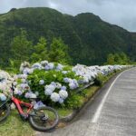 Guided Electric Mountain Bike in Sete Cidades - Final Thoughts