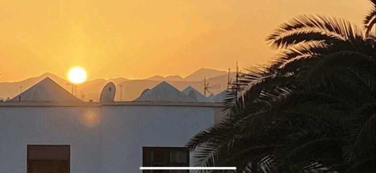 Guided excursion to the hometown of Cesar Manrique Haria Lanzarote - Who Is This Tour Best Suited For?