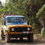 Guided Exploration of Southwest Madeira in a 4x4 - Why This Tour Offers Good Value