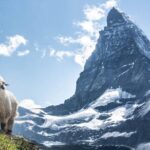 Guided Hiking Full Day in Zermatt - Who Should Book This Tour?