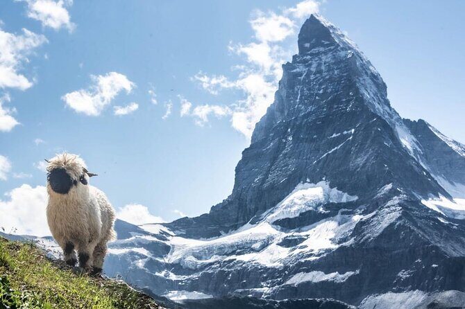 Guided Hiking Full Day in Zermatt - Who Should Book This Tour?