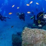 Guided Immersion from Santa Cruz de Tenerife - The Dive Sites and Marine Biodiversity