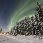 Guided Northern Lights Tour at Kiruna - The Details of the Tour