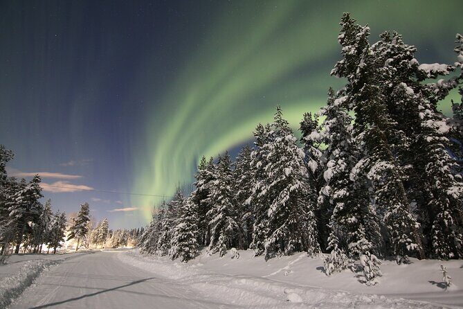 Guided Northern Lights Tour at Kiruna - The Details of the Tour