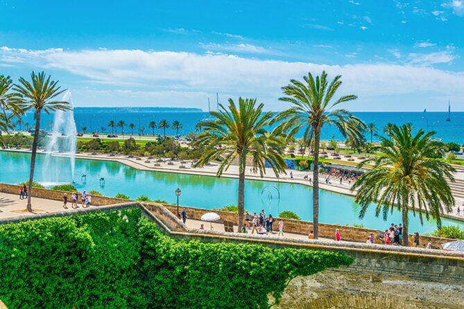 Guided Route through Palma with Cathedral and visit to Valldemossa (4H) - Scenic Coach Ride to Valldemossa