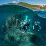 guided Scuba Diving on Tenerife (for certified divers) - Why Dive in Tenerife?