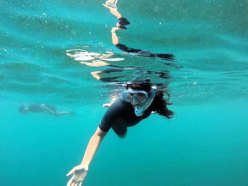 Guided snorkel in Cambrils with explanation of the marine environment. - FAQ