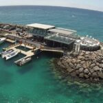 Guided Snorkeling Experience in Caleta de Fuste - Who Will Love This Tour?