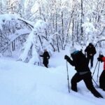 Guided Snowshoe Walk on Tromsoya Island in Tromso - Who Is This Tour Best For?