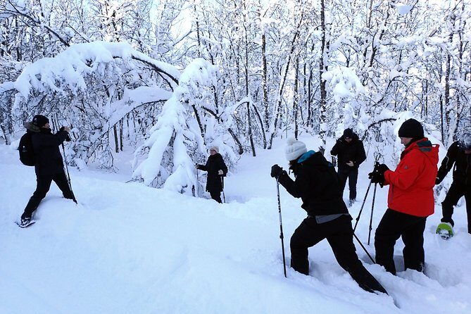 Guided Snowshoe Walk on Tromsoya Island in Tromso - Who Is This Tour Best For?