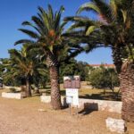 Guided Speedboat Tour with Food, Oil & Wine Tasting - The Itinerary Breakdown: What You Can Expect