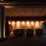 Guided tasting with our team - Practical Details and What You Need to Know