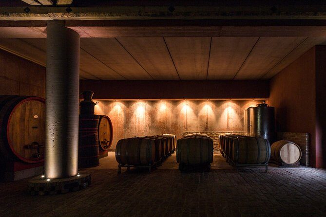 Guided tasting with our team - Practical Details and What You Need to Know