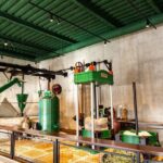 Guided tour and olive oil tasting in Alhaurin el Grande (Málaga) - Who Would Love This Experience?