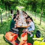 Guided Tour and wine tasting 5 wines to discover the Conegliano Valdobbiadene - Starting Outside: The Vineyard Walk