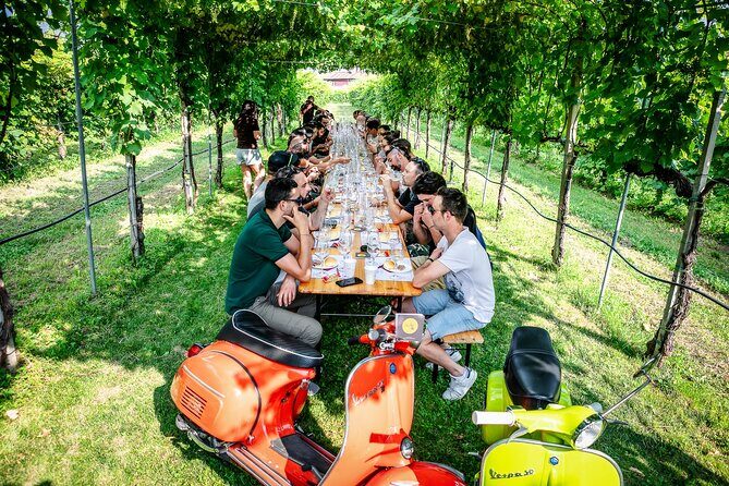 Guided Tour and wine tasting 5 wines to discover the Conegliano Valdobbiadene - Starting Outside: The Vineyard Walk