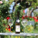 Guided tour of Bodegas Granbazán - An in-depth look at what makes this tour special