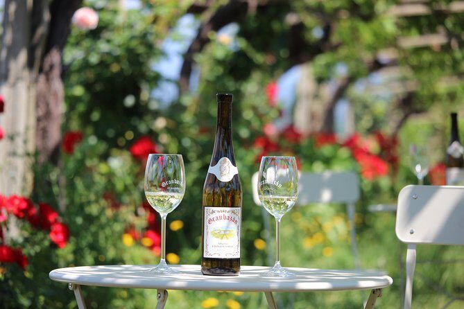 Guided tour of Bodegas Granbazán - An in-depth look at what makes this tour special