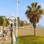 Guided tour of Malaga fishing scene with cooking workshop - What You Get vs. What You Don’t