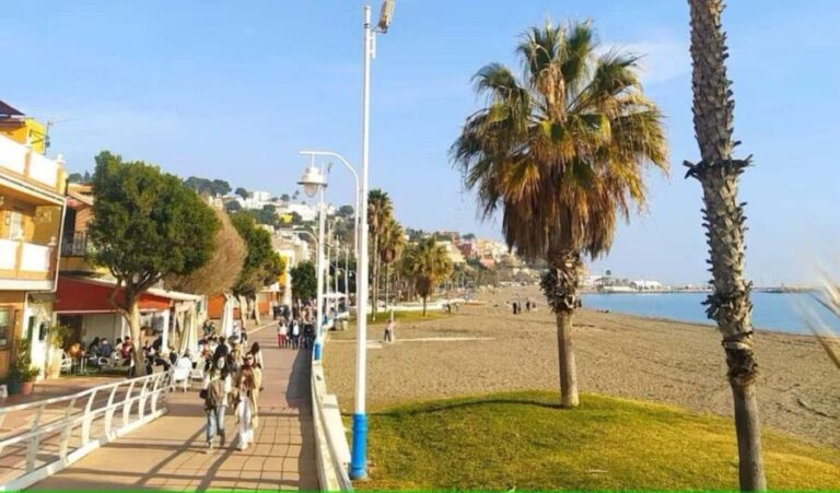 Guided tour of Malaga fishing scene with cooking workshop - What You Get vs. What You Don’t